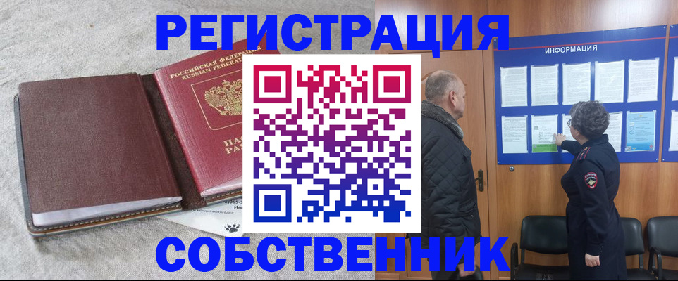 временная регистрация надежно в Елизово